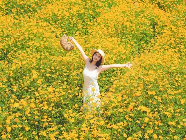 Noces d'or : Comment créer un album photo mémorable