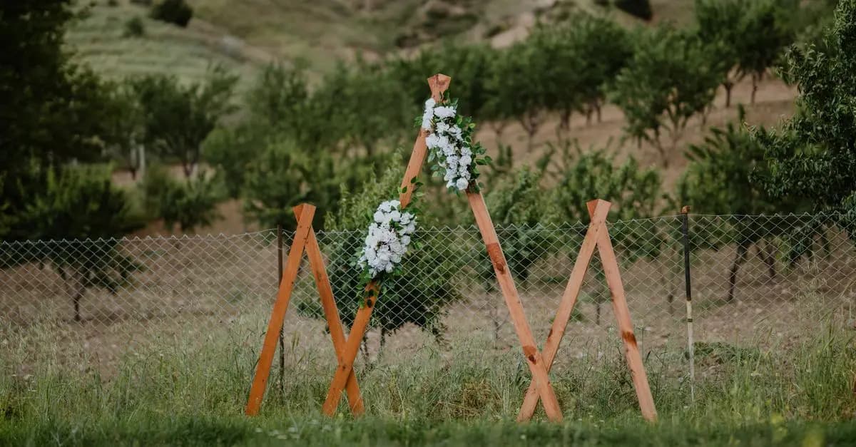 Comment organiser une cérémonie émotive pour vos noces d'or